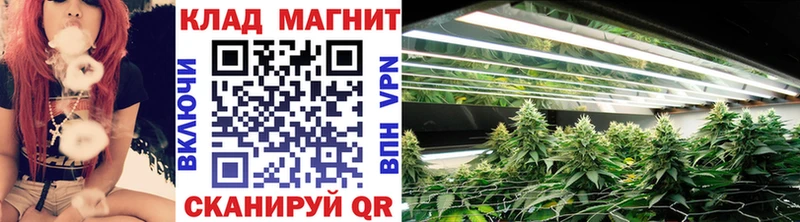ГАШ Сольцы